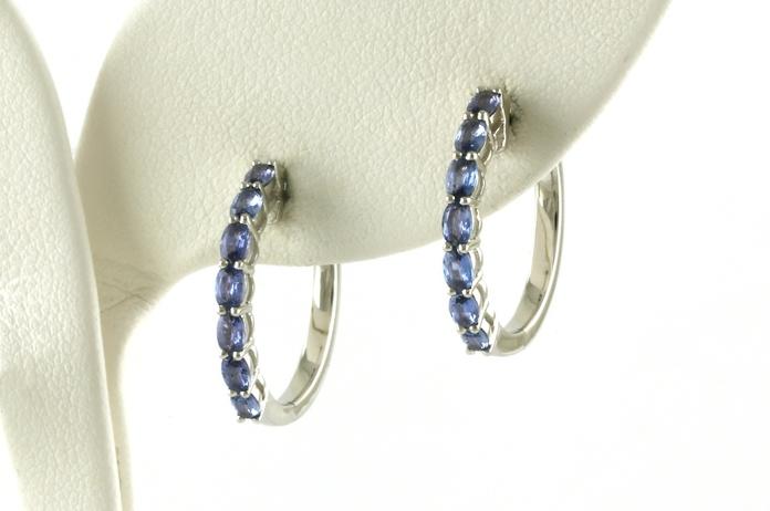 content/products/Prong-set Montana Yogo Sapphire Hoops in White Gold (0.98cts TWT)