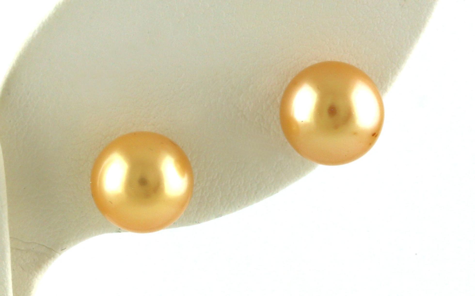 Dyed Gold Fresh Water Pearl Stud Earrings in Yellow Gold